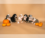 Small #24 Breeder Profile image