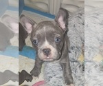 Small #2 Breeder Profile image