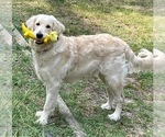 Small #7 Breeder Profile image
