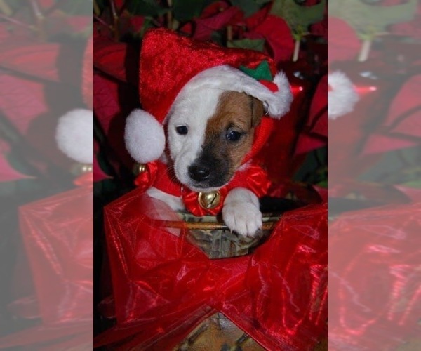 Medium Photo #9  Breeder Profile in MABLETON, GA, USA