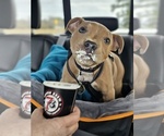 Small #3 Breeder Profile image