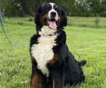 Small #4 Breeder Profile image