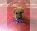Small #9 Breeder Profile image
