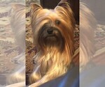 Small #3 Breeder Profile image