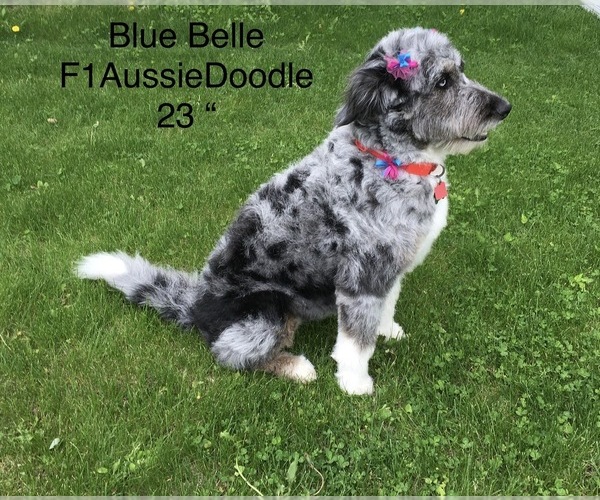 Medium Photo #1  Breeder Profile in WILLIAMSBURG, IA, USA