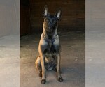 Small #9 Breeder Profile image