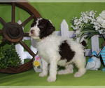 Small #1 Breeder Profile image