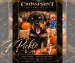 Small #3 Breeder Profile image