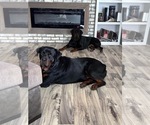 Small #4 Breeder Profile image