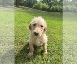 Small #5 Breeder Profile image