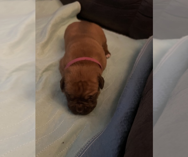 Medium Photo #1  Breeder Profile in FORT MC COY, FL, USA