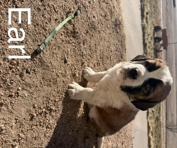 Medium Photo #19  Breeder Profile in OTIS, CO, USA