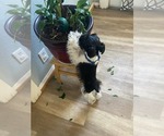 Small #19 Breeder Profile image