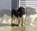Small #72 Breeder Profile image