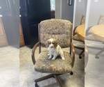 Small #2 Breeder Profile image