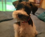 Small #16 Breeder Profile image