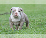 Small #15 Breeder Profile image