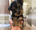 Small #2 Breeder Profile image