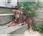 Small #4 Breeder Profile image