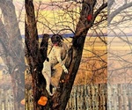 Small #6 Breeder Profile image