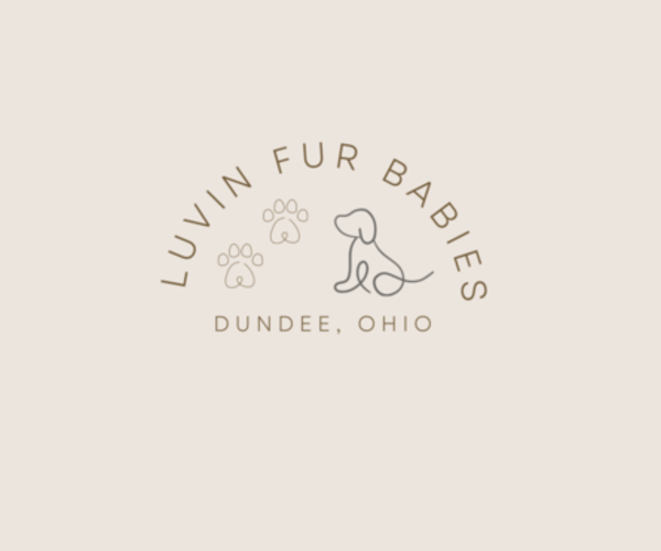 Medium Photo #1  Breeder Profile in DUNDEE, OH, USA