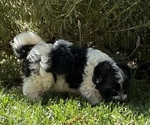 Small #7 Breeder Profile image