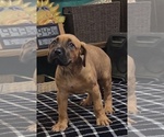 Small #6 Breeder Profile image