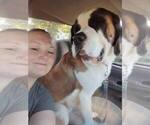Small #2 Breeder Profile image