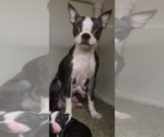 Small #13 Breeder Profile image