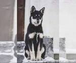 Small #8 Breeder Profile image
