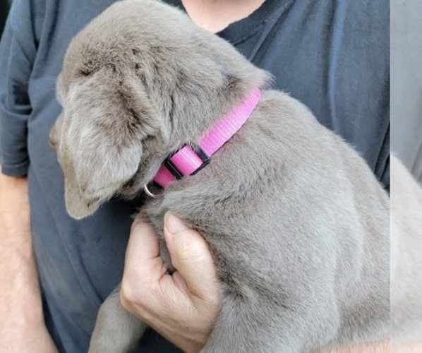 Medium Photo #5  Breeder Profile in PRINCETON, MN, USA