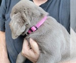Small #4 Breeder Profile image