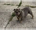 Small #2 Breeder Profile image