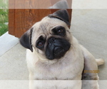Small #2 Breeder Profile image