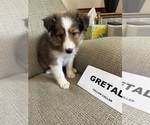 Small #4 Breeder Profile image