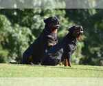 Small #3 Breeder Profile image