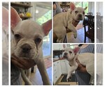 Small #3 Breeder Profile image
