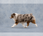 Small #3 Breeder Profile image