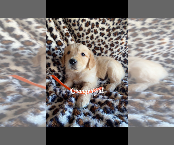 Medium Photo #16  Breeder Profile in PRITCHETT, CO, USA