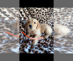 Small #15 Breeder Profile image