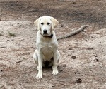 Small #2 Breeder Profile image