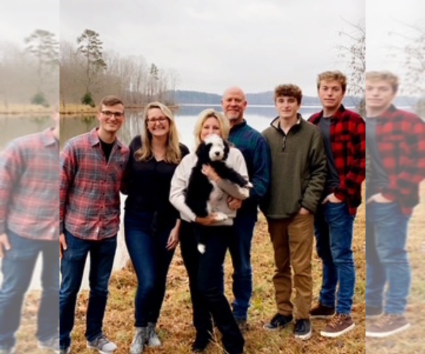 Medium Photo #10  Breeder Profile in STALEY, NC, USA