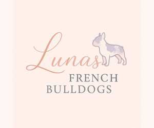 French Bulldog Dog Breeder near RIALTO, CA, USA