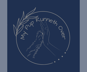 Pembroke Welsh Corgi Dog Breeder near GOSHEN, IN, USA