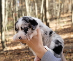 Small #2 Breeder Profile image