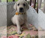 Small #4 Breeder Profile image