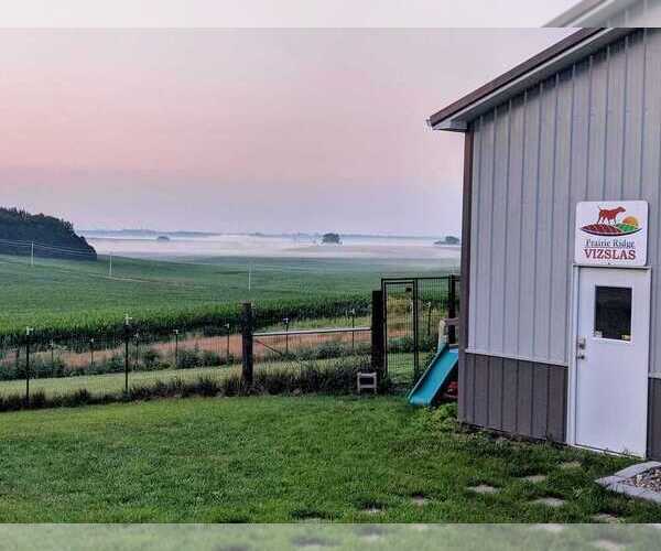 Medium Photo #2  Breeder Profile in HARLAN, IA, USA
