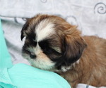 Small #45 Breeder Profile image