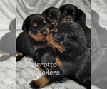 Small #2 Breeder Profile image