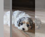 Small #20 Breeder Profile image
